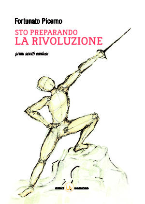 Sto preparando la rivoluzione - F.Picerno